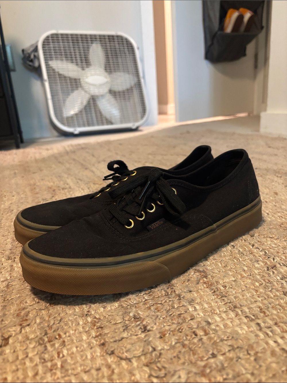 Vans Black Canvas Low-Top Sneakers